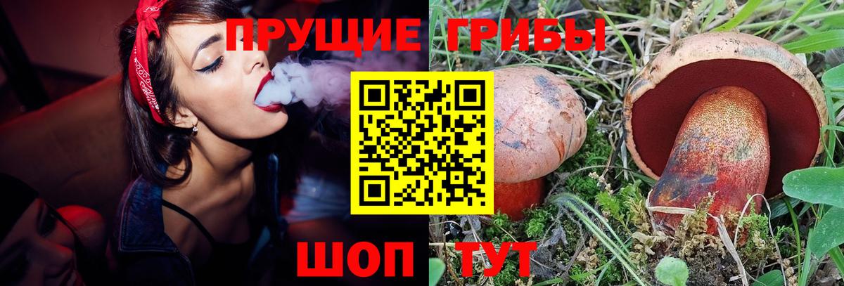 Псилоцибиновые грибы Psilocybine cubensis  Вход с VPN  Галлюциногенные грибы Psilocybine cubensis  Гуково 