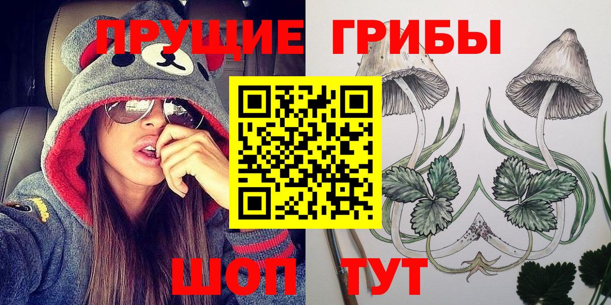 Псилоцибиновые грибы мицелий Гуково